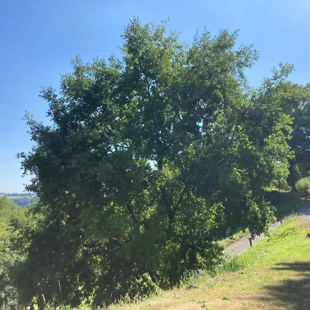 Terrasses De 47 아파트 *